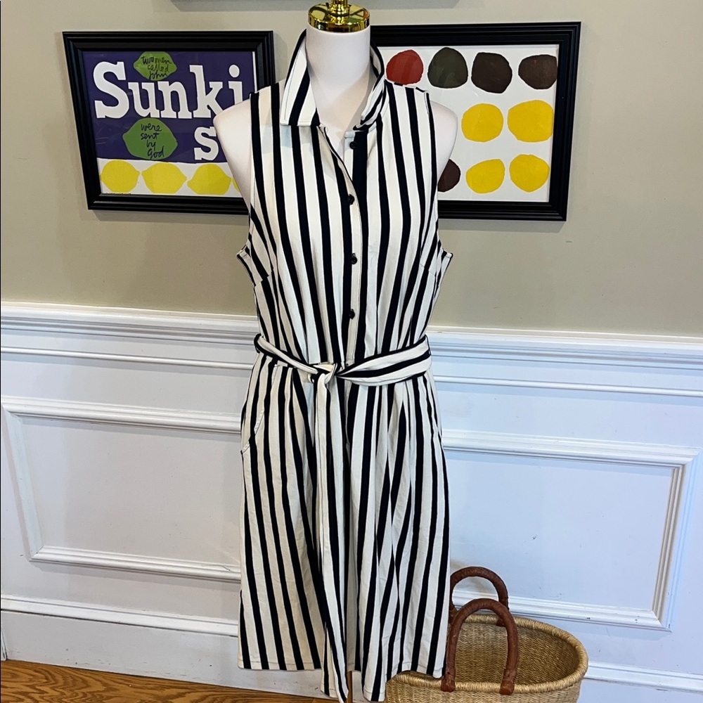 Anthropologie Black and White Striped Midi Dress - Picture 5 of 11
